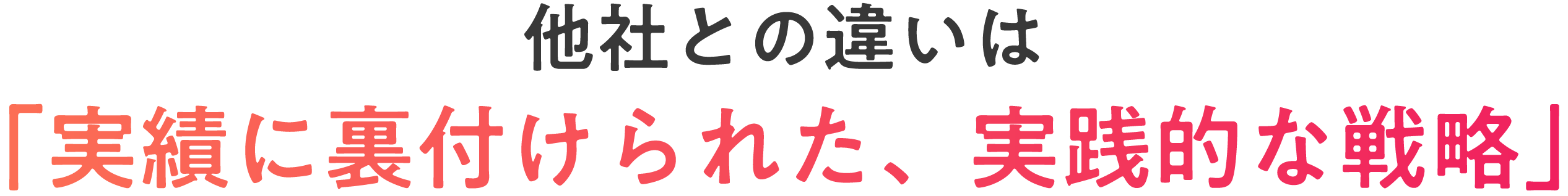 他社との違いは「実績に裏付けられた、実践的な戦略」