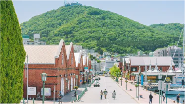 地域・観光の場合